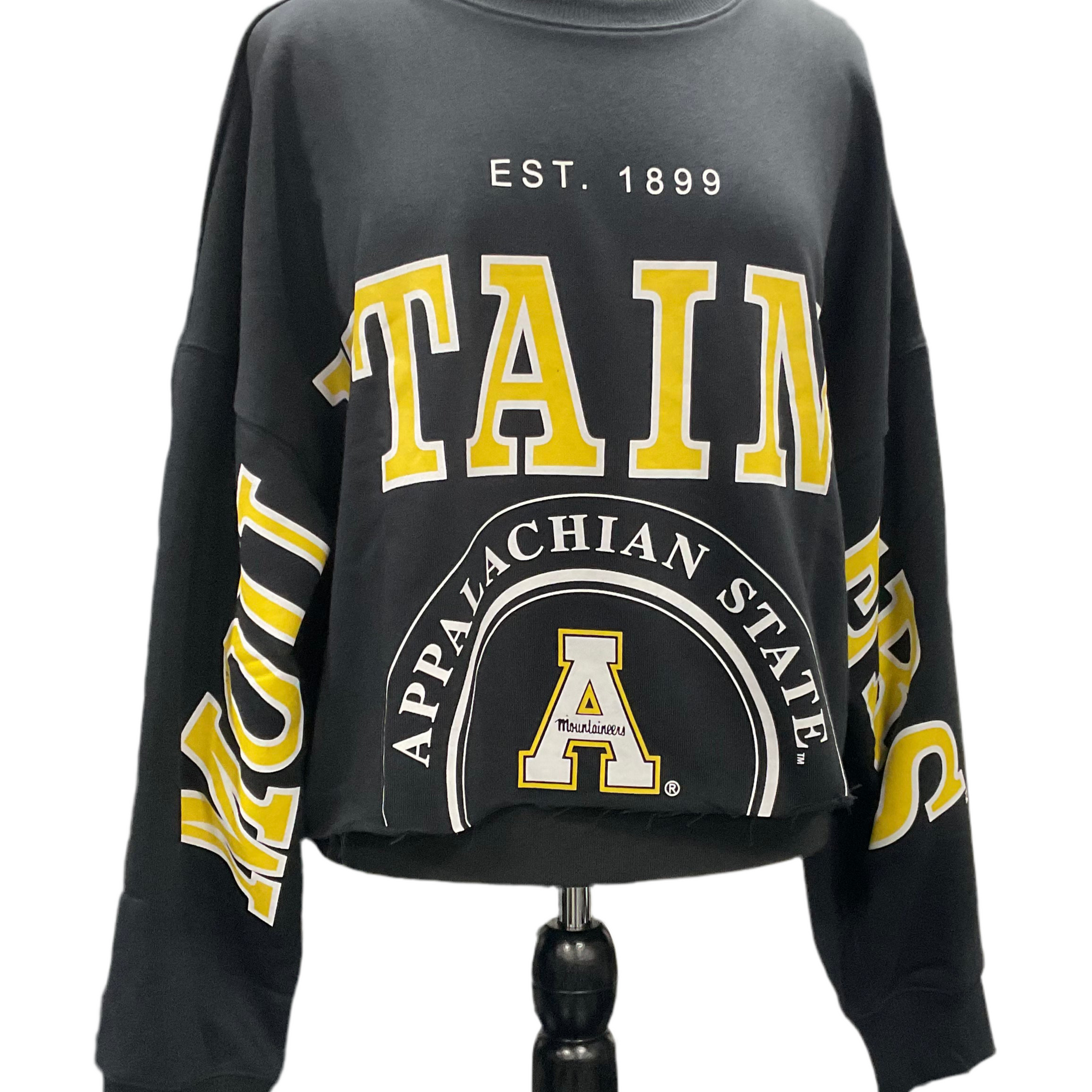 Mountaineer Mania
