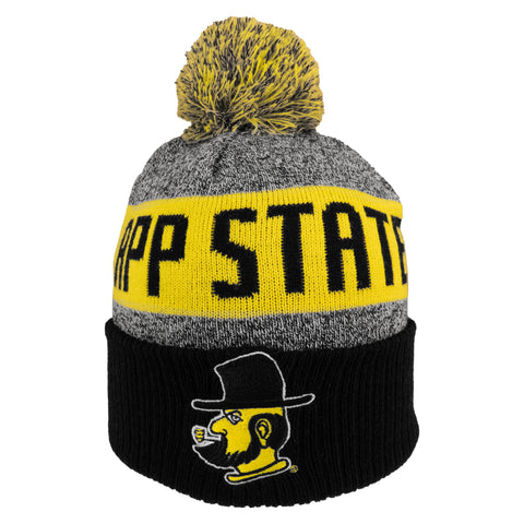 APP STATE Marled Cuff Hat With Pom