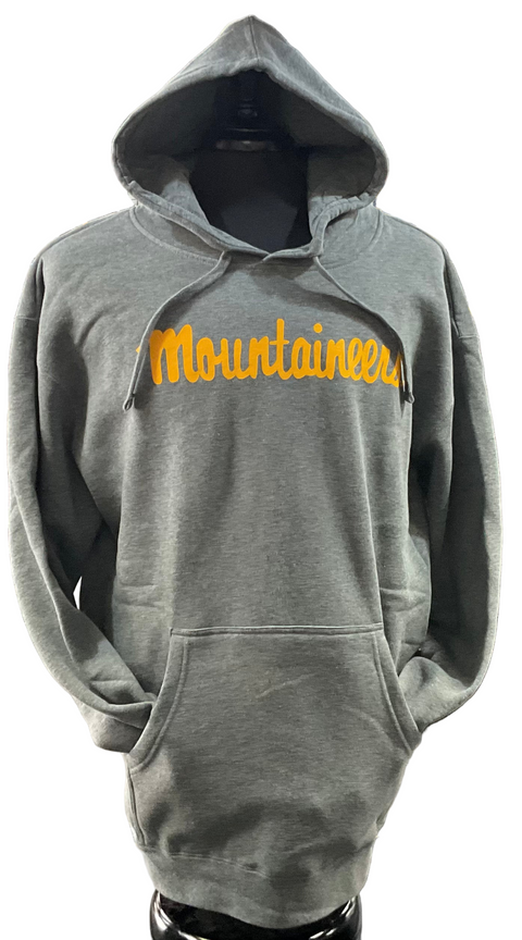 APP STATE Mountaineers Hoodie