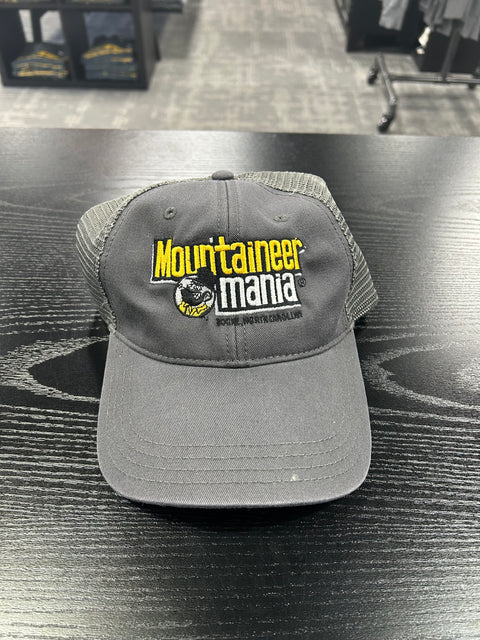 Gray Mountaineer Mania Dad Hat